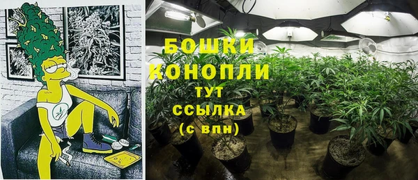 дмт Алексин